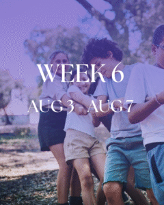Week 6 - August 3 to August 7